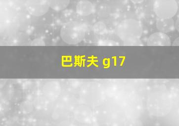 巴斯夫 g17